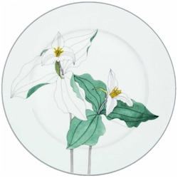 Block China Trillium