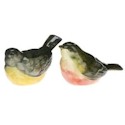 Certified International Nature's Garden Salt & Pepper Shaker Set