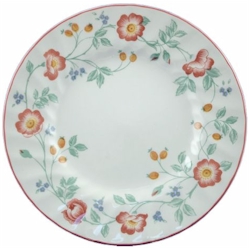 Churchill China Briar Rose