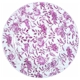 Churchill China Pink Peony