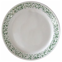 Corelle Sponge Green