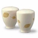Corelle Ultra Autumn in Hanover Salt & Pepper
