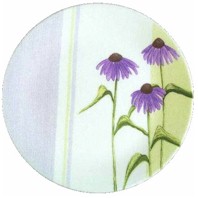 Senses� Corelle Ultra�