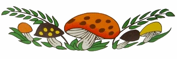 Merry Mushroom by CorningWare