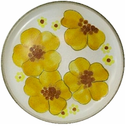 Denby Minstrel