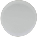 Fitz and Floyd Everyday White Organic Dinner Plate