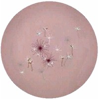 Franciscan Ballet