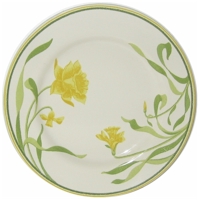 Franciscan Daffodil