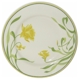 Franciscan Daffodil