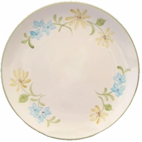 Franciscan Daisy
