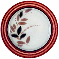 Franciscan Origin