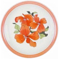 Franciscan Polynesia