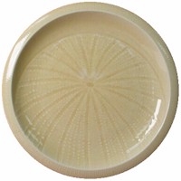 Franciscan Sea Urchin