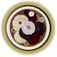 Franciscan Zinnia