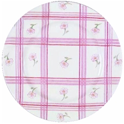 Johnson Brothers Gingham