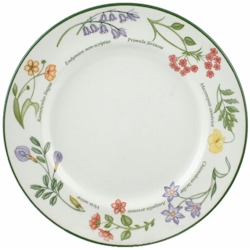 Johnson Brothers Wild Flowers
