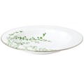 Lenox Gardner Street Green by Kate Spade Rim Pasta/Soup Bowl