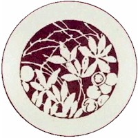 Lenox Woodspice