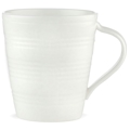 Four Degrees Mug
