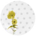 Lenox Simply Fine Watercolor Citrus Luncheon/Salad Plate