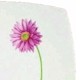 Mikasa Botanical Fancy
