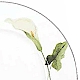 Mikasa Classic Calla