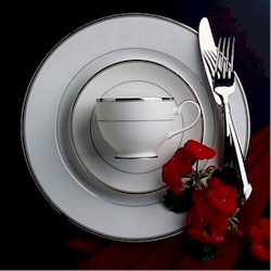 Mikasa Classic Platinum