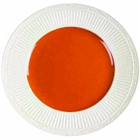 Mikasa Italian Terracotta
