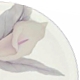 Mikasa New Spirit