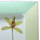 Mikasa Orchid Show