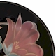 Mikasa Rapture Bloom
