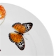 Gourmet Basics by Mikasa Sunrise Butterfly