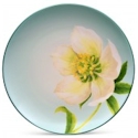 Noritake Colorwave Spruce Floral Accent Plate