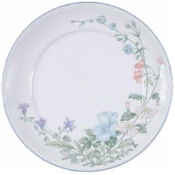 Noritake Abbotswood