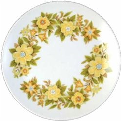 Noritake Acapulco