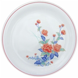 Noritake Akaye