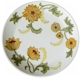 Noritake Aloha