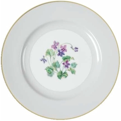 Noritake Arcola