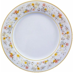 Noritake Delevan