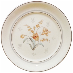 Noritake Dutch Treat
