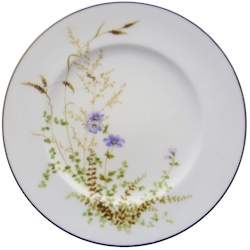 Noritake Edenderry