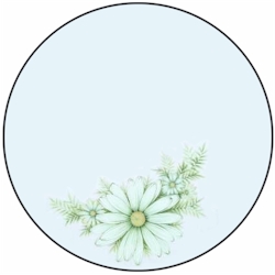 Noritake Jill