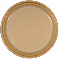 Noritake Painted Desert