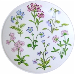 Noritake Petals Plus