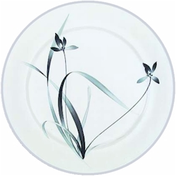 Noritake Profusion