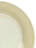 Noritake Safari Cream Detail
