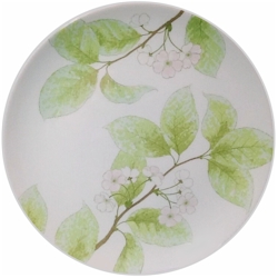 Noritake Springtide