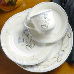 Noritake Summer Valley