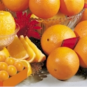 Hale Navel Oranges
