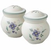 Pfaltzgraff April Salt & Pepper Set